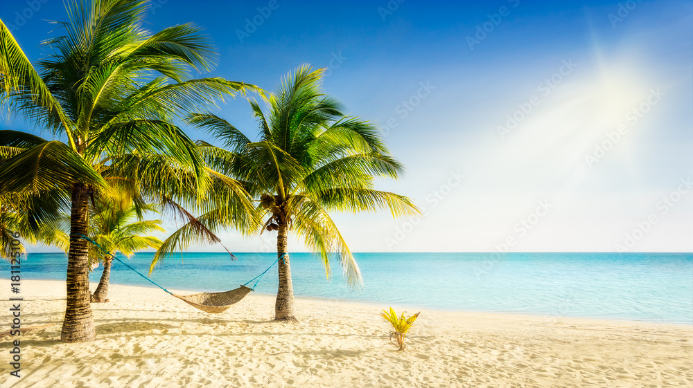 Sunny carribean beach with palmtrees and traditional braided hammock