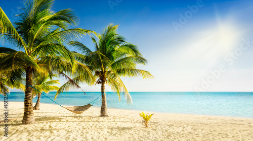 Fototapeta Naklejka Na Ścianę i Meble -  Sunny carribean beach with palmtrees and traditional braided hammock