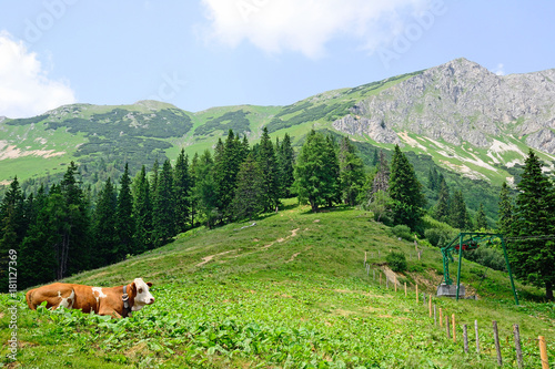 Landscape of Veitsch, Austria
