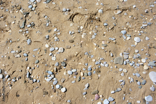 Sand and pebbles texture © Svetlana Lukienko