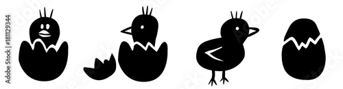 Set: Zeichnung Osterküken schlüpfen aus Eiern / schwarz-weiß, Vektor, freigestellt