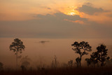 Landscape fog in morning sunrise at Thung Salang Luang National Park Phetchabun,Tung slang luang is Grassland savannah in Thailand