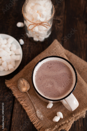 Mug of hot chocolate or cocoa with marsmallow