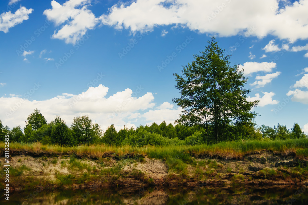 Obraz premium narrow river in summer day