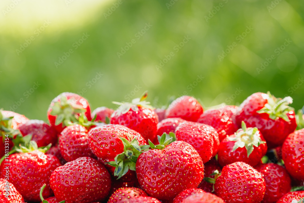A lot of strawberries on a green background, a season of strawberries. A lot of strawberries on a green background, a season of strawberries.