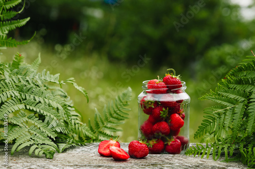 Strawberries in a glass jar on a wooden gray table on a green background, leaves of paparatnik, strawberry season. сopy space for text, photo