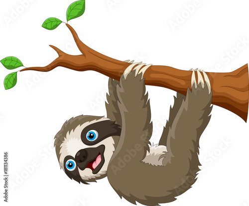 Cartoon cute sloth hanging on the tree