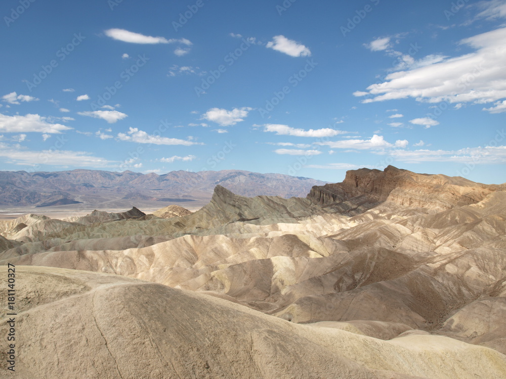 Naklejka premium OLYMPUS DIGITAL CAMERA