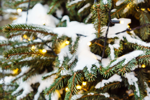 Christmas winter green tree