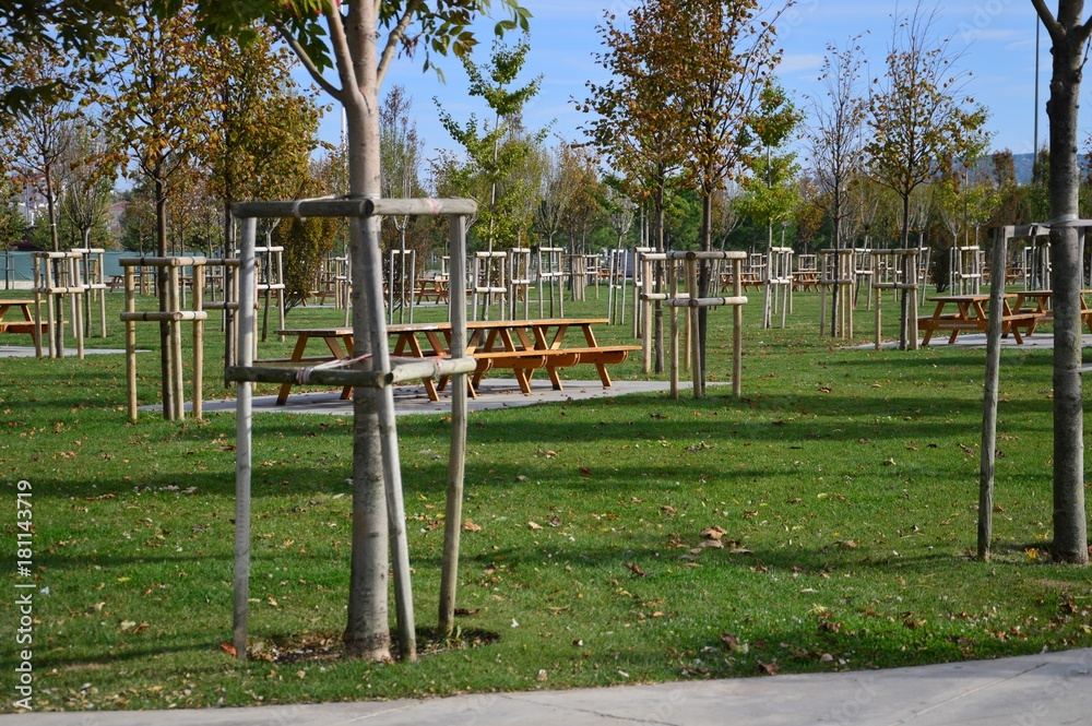 neu angelegter Park mit Bänken und Tischen