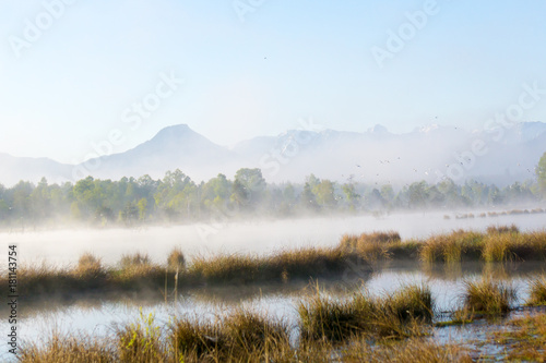 Epic landscape photo with morning fog in a moorland area in the mountains of the Bavarian Alps