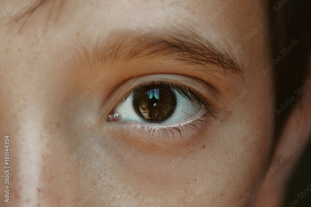 Photo of a brown eye. View. Photo of a brown eye. View.
