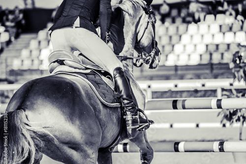 Horse and rider in uniform performing jump at show jumping competition. Equestrian sport background. Black and white art photography monochrome with high contrast.