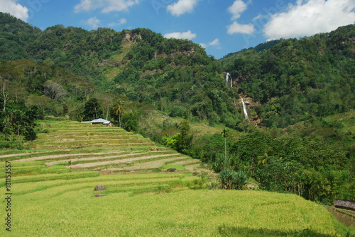 Cascades de Tengku Lese près de Ruteng, île de Florès, Indonésie photo