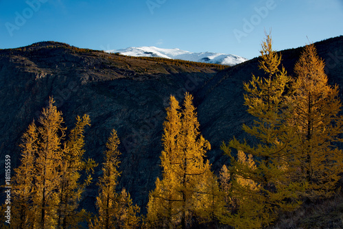 Russia. Siberia, Autumn in the Altai Mountains