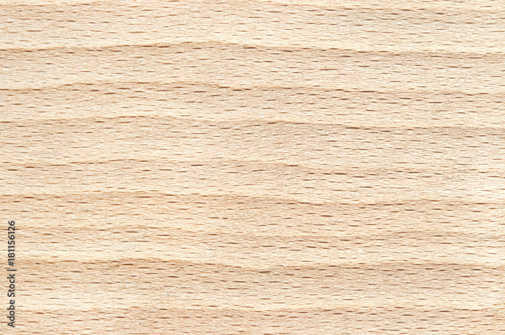 Naklejka premium The texture is beech, top view.