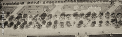Wallpaper Mural Downward view of city promenade with palms Torontodigital.ca