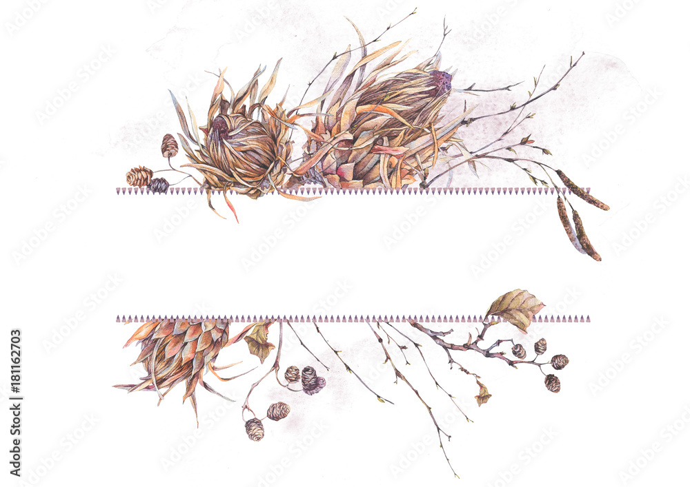 Watercolor botanical frame, Flowers protea Watercolor botanical frame, Flowers protea