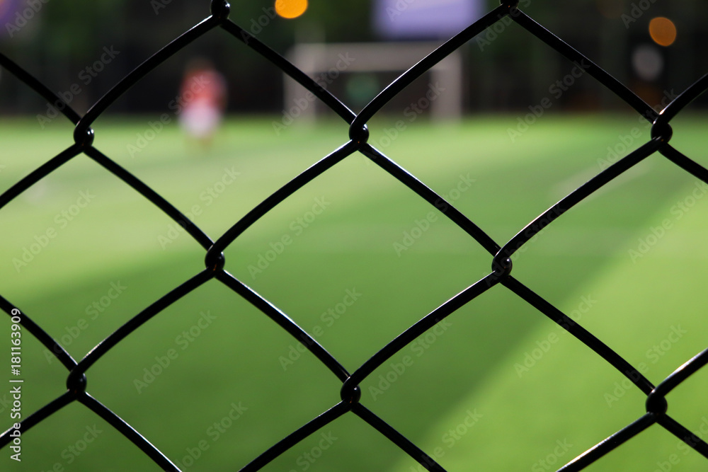 Fototapeta premium foreground focused fence