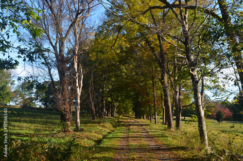 Pretty landscape of worlds end in Hingham Massachusetts photo