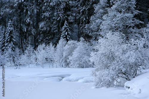 Winterpracht am Feldsee photo