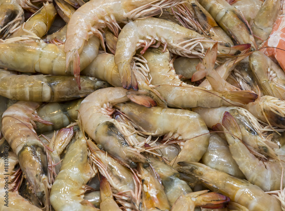 Background of fresh seafood shrimp close-up on the market Background of fresh seafood shrimp close-up on the market