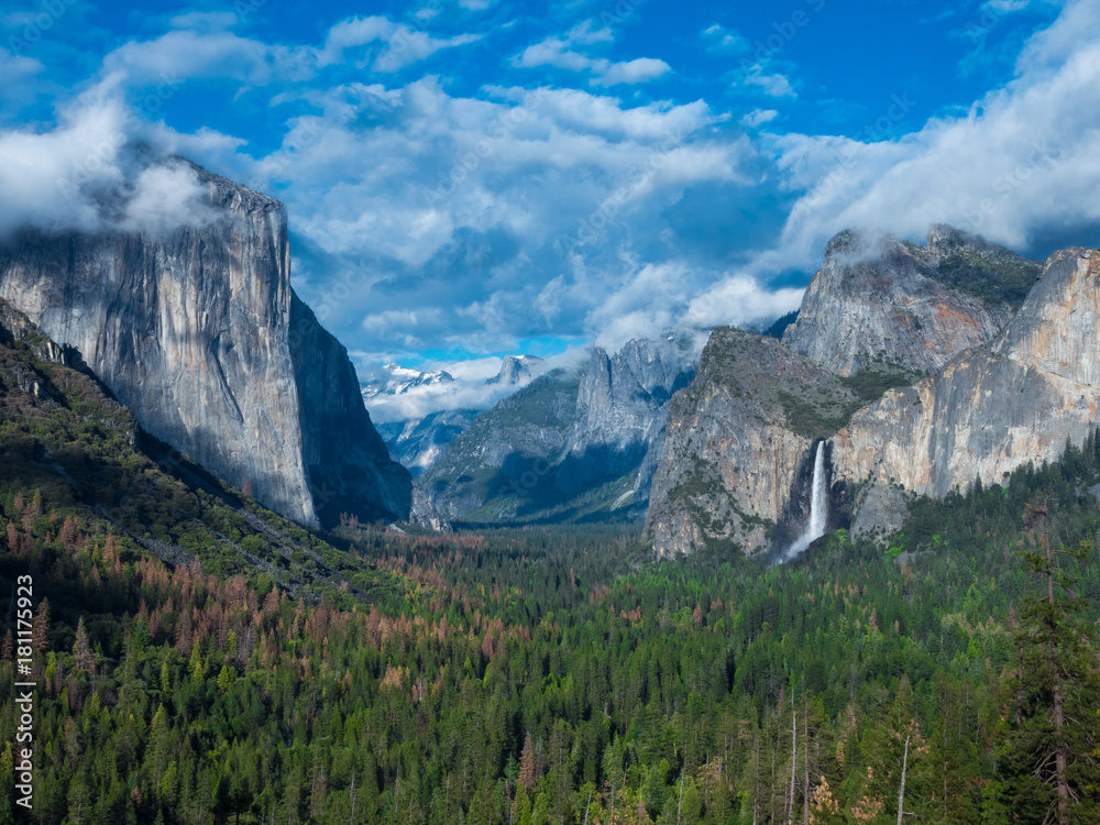 Fototapeta premium OLYMPUS DIGITAL CAMERA