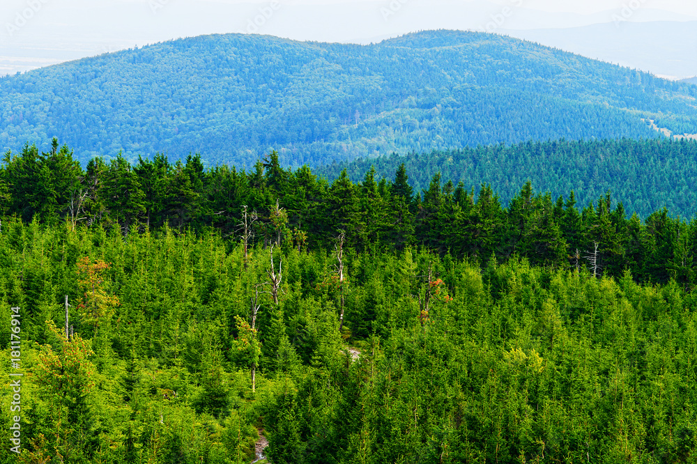 Kalenica (Turnberg) mountain summit in the Owl Mountains Landscape Park, Sudetes, Poland. Forested hills with growing spruce picea abies trees in evergreen coniferous forest. Aerial view. Kalenica (Turnberg) mountain summit in the Owl Mountains Landscape Park, Sudetes, Poland. Forested hills with growing spruce picea abies trees in evergreen coniferous forest. Aerial view.