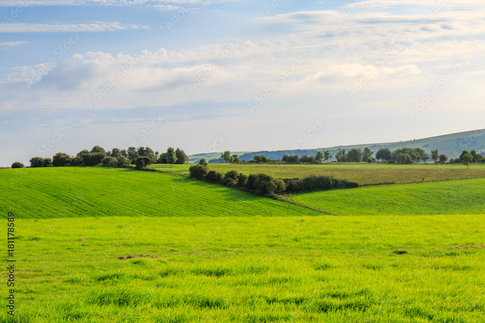 Green Sussex Landscape