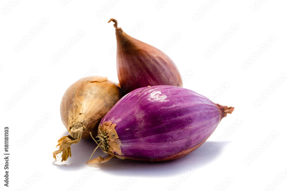 Fototapeta premium Schalotten Schalotte isoliert freigestellt auf weißen Hintergrund, Freisteller