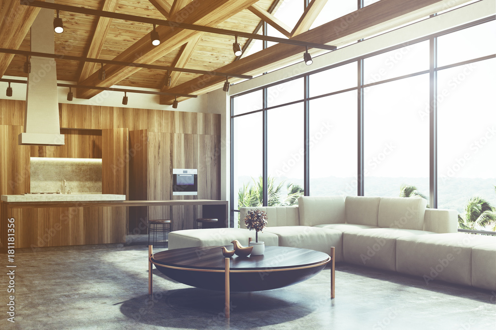 Naklejka premium Loft living room and kitchen toned