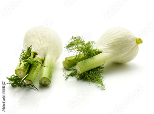Fennel bulb isolated.Florence fennel isolated on white background pair of fresh bulbs.