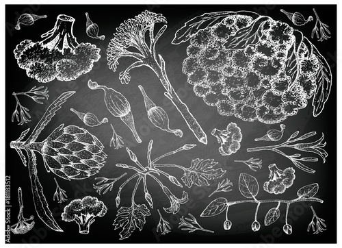 Hand Drawn of Podded Vegetables on Chalkboard photo