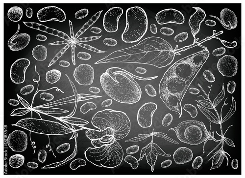 Hand Drawn of Podded Vegetables on Chalkboard