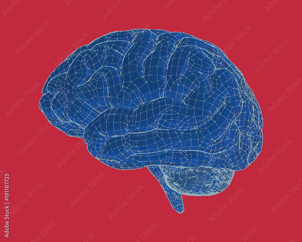 Blue drawing brain with wireframe illustration Blue drawing brain with wireframe illustration