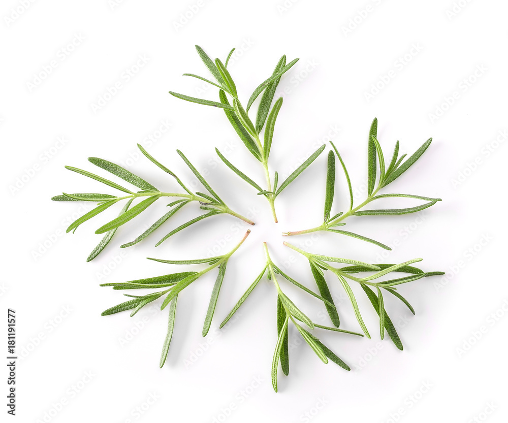 Naklejka premium Rosemary isolated on white background