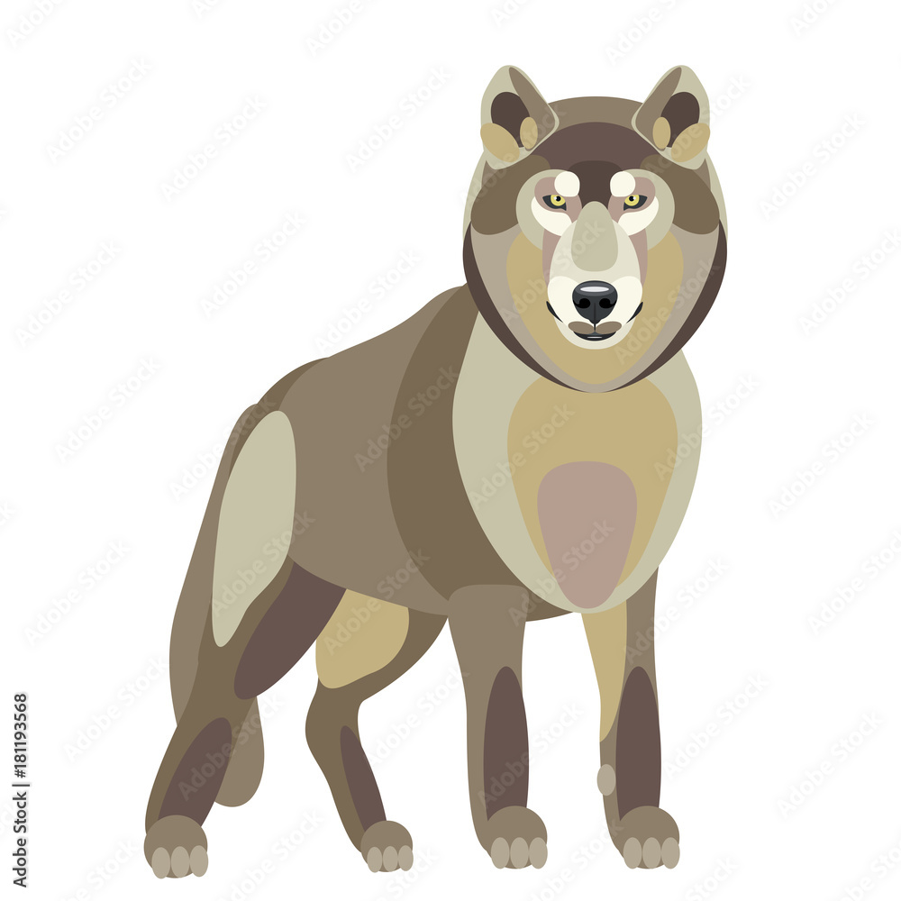 Fototapeta premium illustration of wolf on a white background