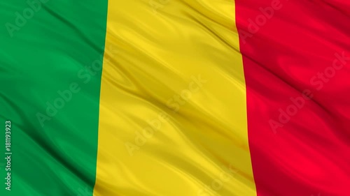 Mali Flag Waving. Seamless loop. 