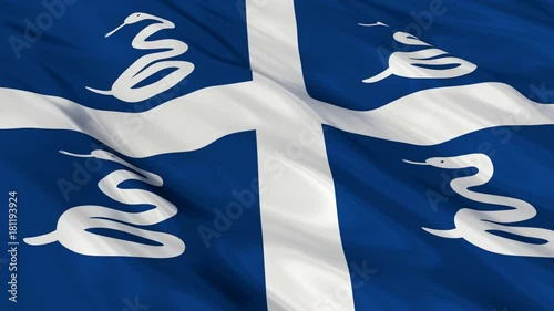 Martinique Flag Waving. Seamless loop. 