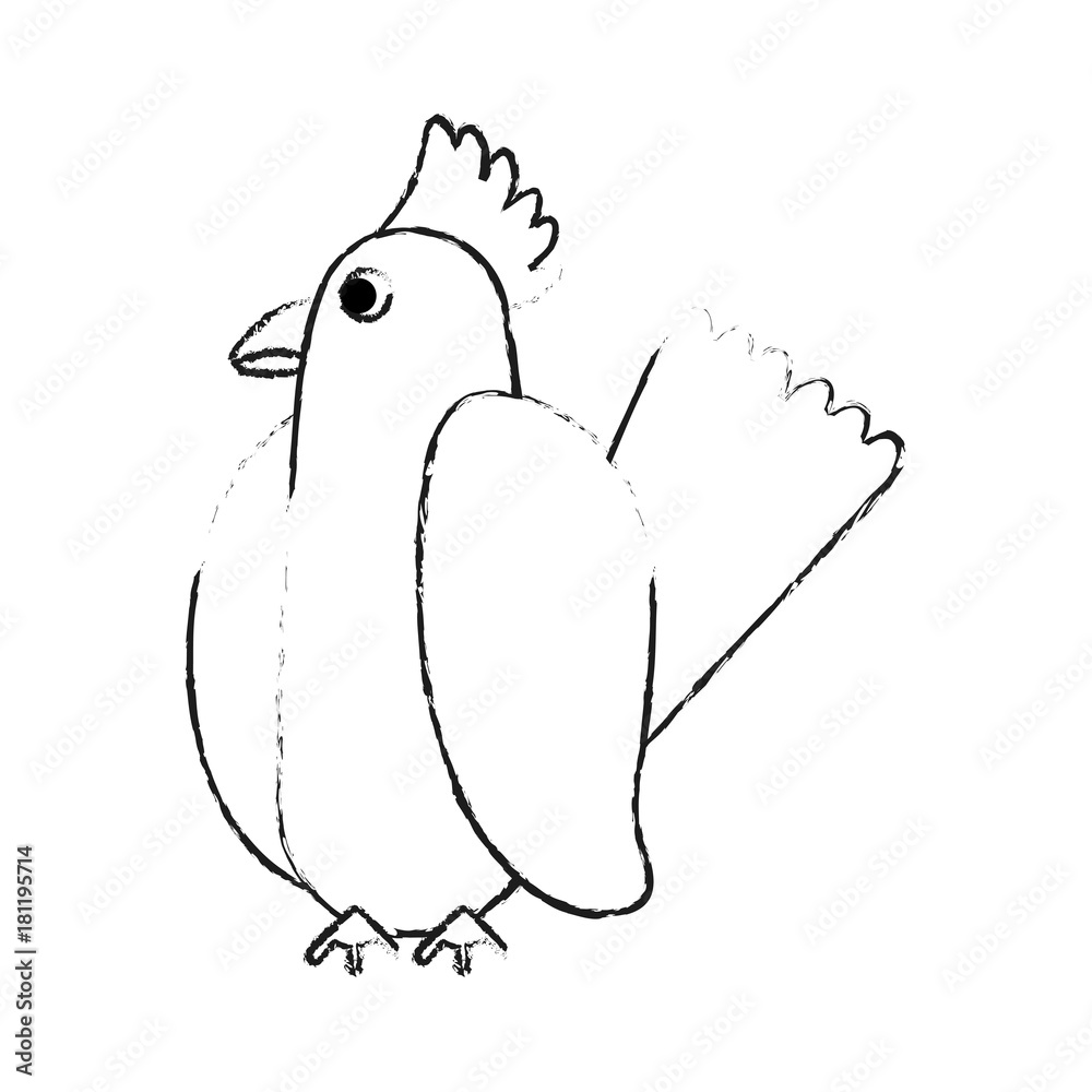 Fototapeta premium Beautiful parrot bird icon vector illustration graphic design