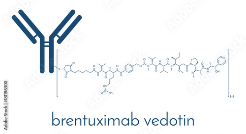 Brentuximab vedotin antibody-drug conjugate molecule. Consists of monoclonal antibody conjugated to 3-5 molecules of monomethyl auristatin E. Skeletal formula. photo