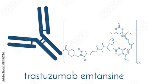 Trastuzumab emtansine antibody-drug conjugate molecule. Each antibody is conjugated to 0-8 cytotoxic mertansine molecules through a cleavable linker. Skeletal formula. photo
