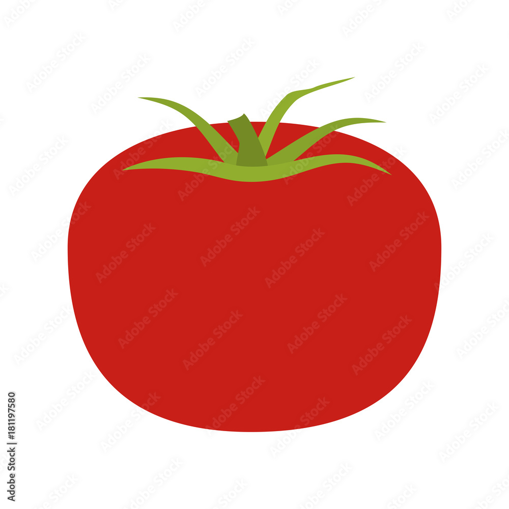 Tomato fresh vegetable icon vector illustration graphic design