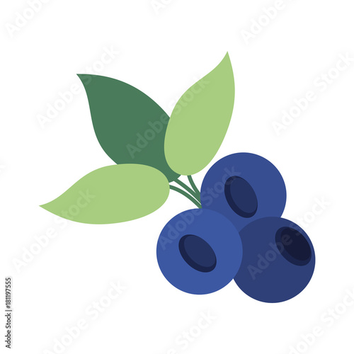 Delicious blueberries fruits icon vector illustration graphic design photo