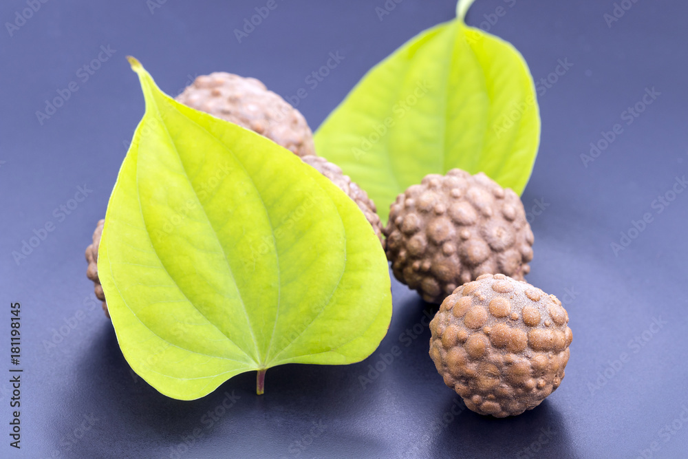 Air potato herb (Scientific name is Dioscorea bulbifera) Air potato herb (Scientific name is Dioscorea bulbifera)