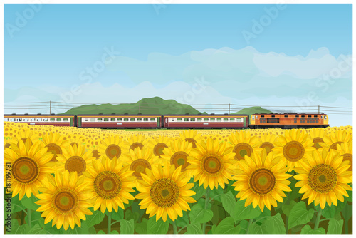 Vector Illustration: wallpaper and background landscape sunflowers garden and train travel led by diesel electric locomotives running through unseen in thailand style.