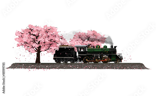 Vector Illustration: isolated on white background Cherry tree garden filled with flowers sakura breeze blow away and ancient steam locomotive running through unseen in the spring of Japan.