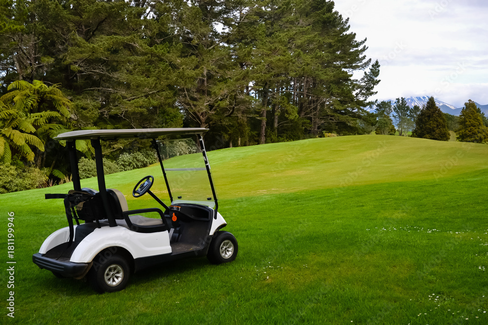 Golfers Golf Cart at Golf Course