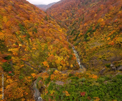 Jogakura valley in beautiful autumn season, Aomori, Japan.