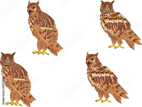 Owl birds set isolated on white vectors